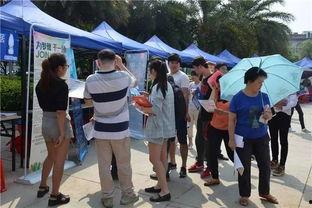 广西玉林最新吃豆腐爆料,广西美食界的创新风暴来袭 第2张 广西玉林最新吃豆腐爆料,广西美食界的创新风暴来袭 第2张