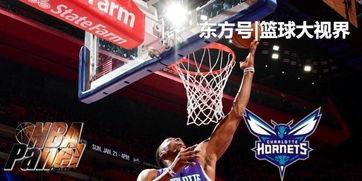 黄蜂爆料乔丹视频大全下载,重温篮球传奇时刻 第2张 黄蜂爆料乔丹视频大全下载,重温篮球传奇时刻 第2张